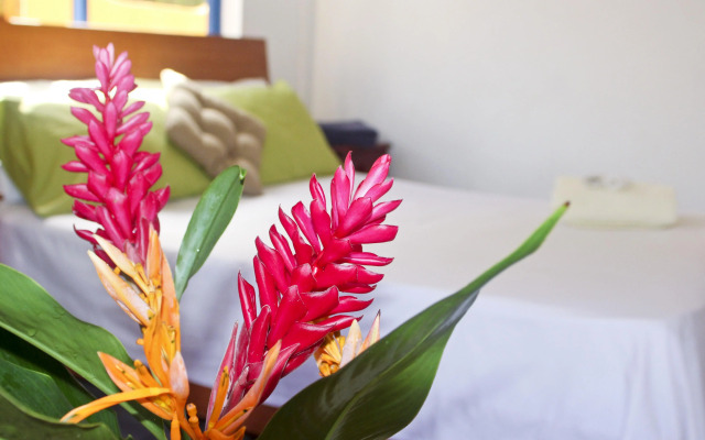 Vicky's Holiday Apartments