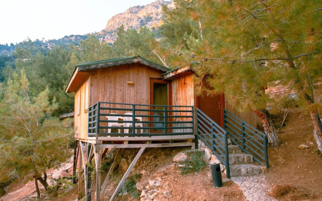 Tree Houses
