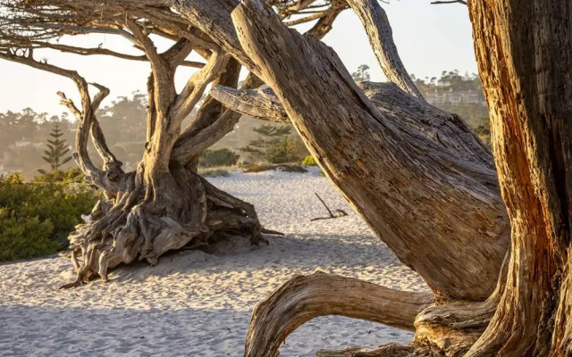 Home2 Suites by Hilton at the Dunes on Monterey Bay