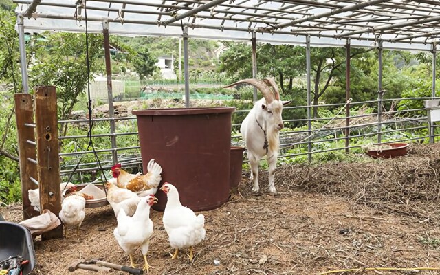 Gapyeong Daegajok Pension