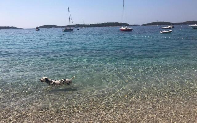 Apartmani Marinka Viskovic