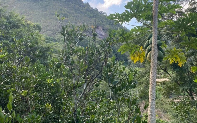 Sítio & Hospedagem Vistas de São Pedro