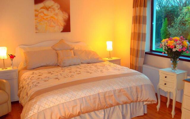Athlumney Manor B&B