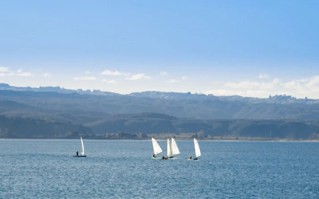 Navigate Seaside Hotel & Apartments