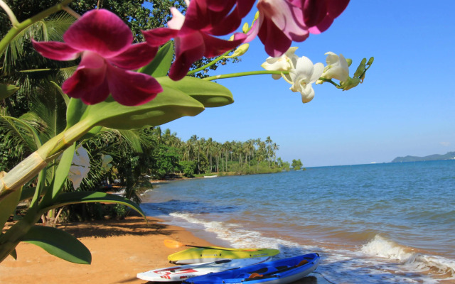 Serenity Resort