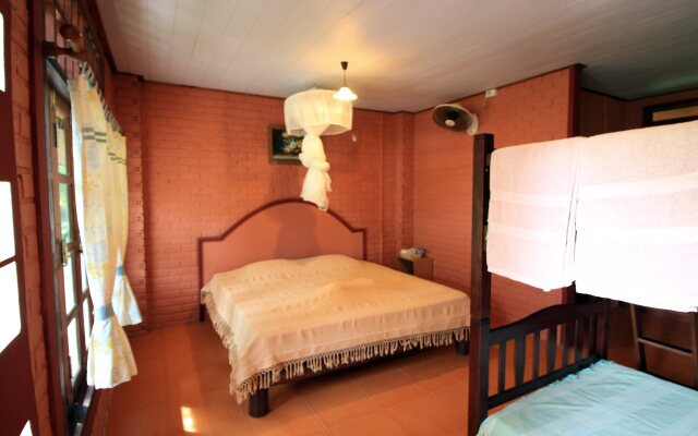 Nice 'n Easy House