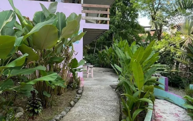 Planet B Hostel