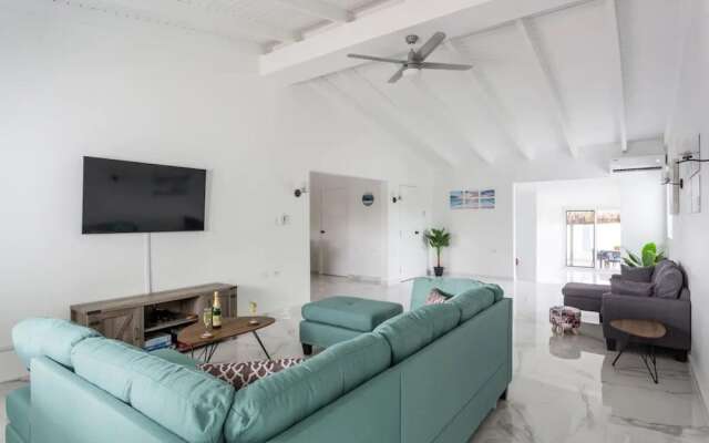 NEW Palm Beach 100h