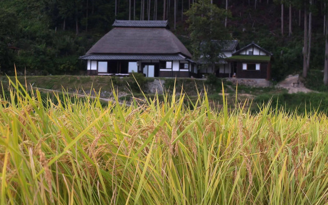 Sasayuri-Ann