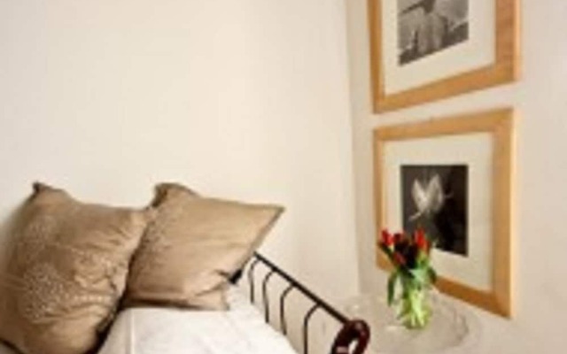 Pinzochere Michelangelo