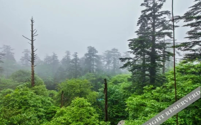 Jufenglou Hotel
