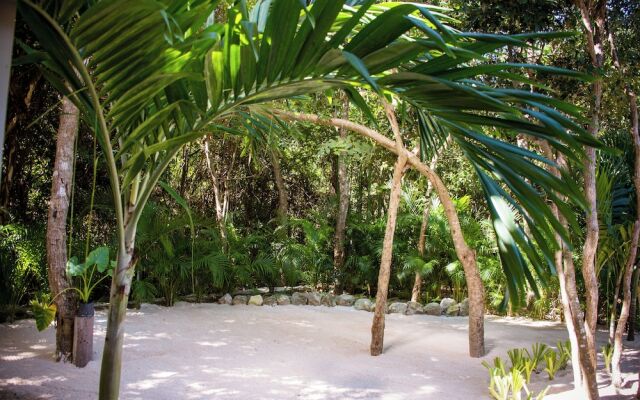 Magical Hotel In Akumal Beach