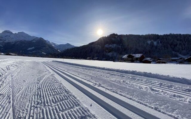 Apartment Lischenhaus 2 - Wohnung Flösch