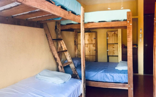 Kaya Hostal Apartments - Hostel