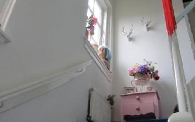 B & B Aan 'T Volkspark