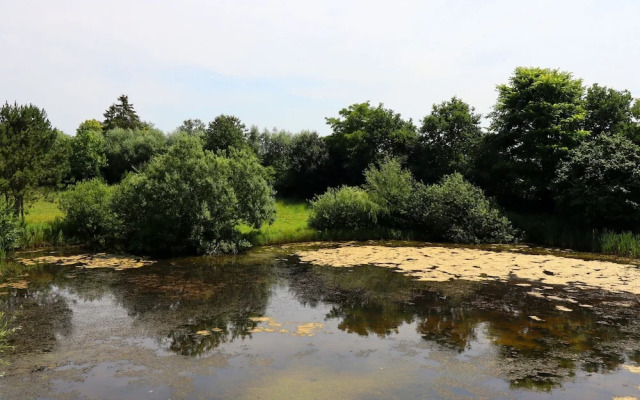 Rustic-style Apartment in Buschenhagen With Garden