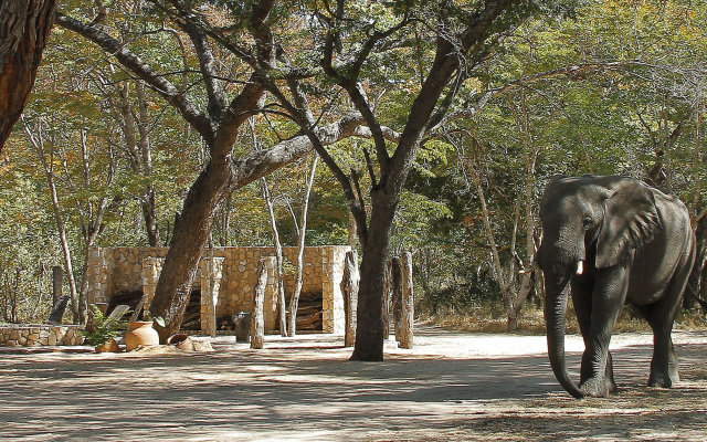 Gwango Elephant Lodge