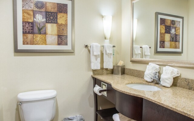 Comfort Suites Cicero - Syracuse North