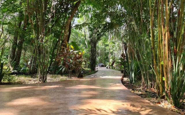Secret Gardens Bacalar Suite 01 con alberca y bicicletas