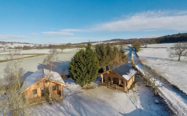 Braisty Woods - Knotty & Nice