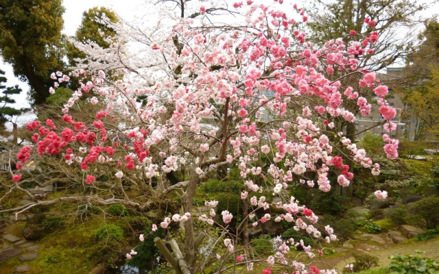 Atami Taikansou