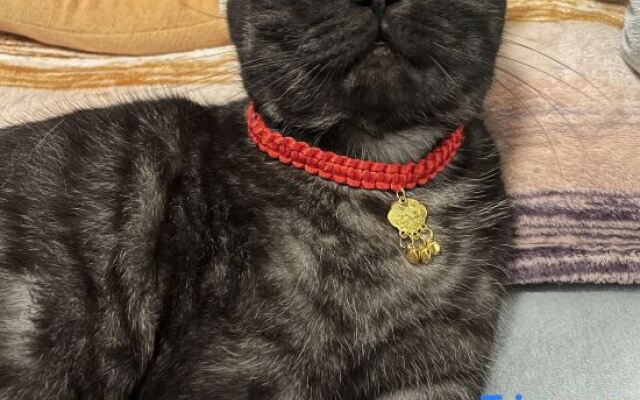 Xiaomi Apartment (Xiamen Gaoqi Airport)