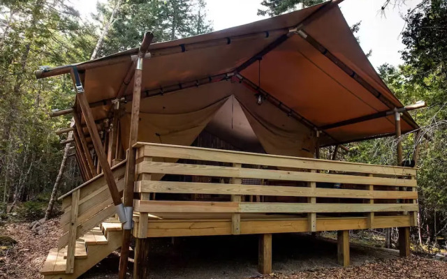 The Woods of Eden Glampground