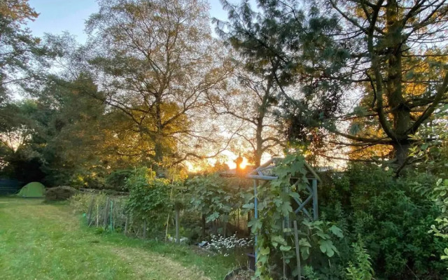 Studio/lickey Hills/near Attractions/garden/petok