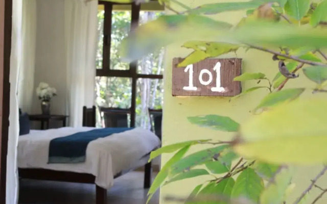 Saccharum Safari Lodge