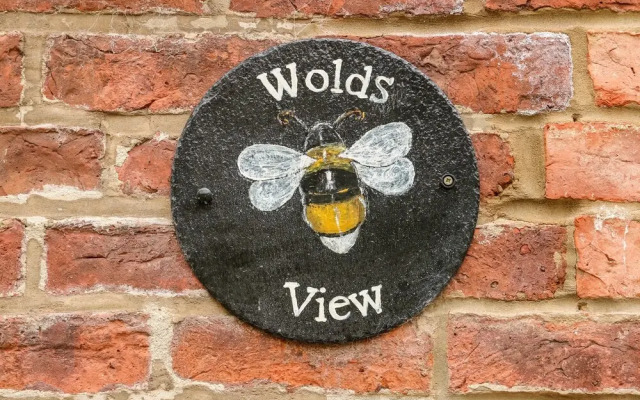 Wold's View