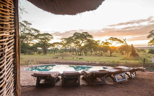 Sanctuary Swala