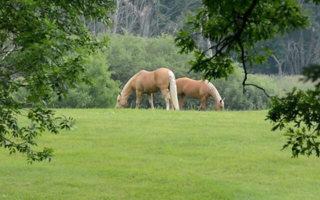 Ghumtee Riviera Resort