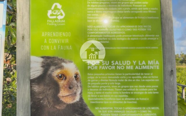 Paraíso na Reserva Imbassaí