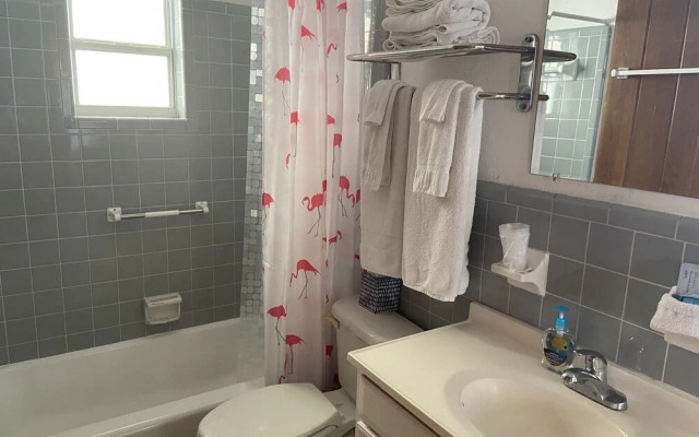 Holiday Court 02 - Flamingo