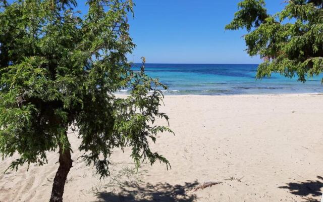 Confortevole e luminoso appartamento zona Gallipoli