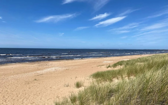 5 Star Holiday Home in Mellbystrand