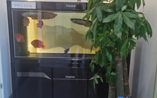 Hi Inn (Beijing Normal University Jishuitan)