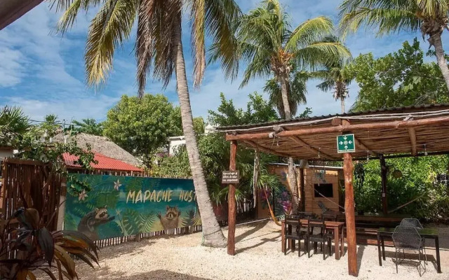 Mapache Hostel