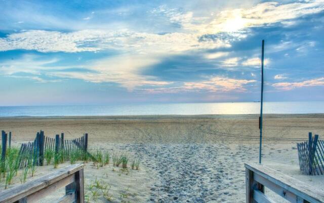 7110 - Sammy`s Sandbox