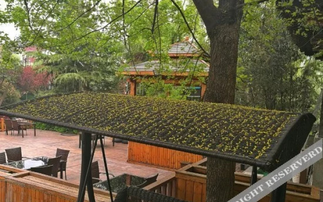 Shangquan Lishe (Ji'nan Daminghu Scenic Area)