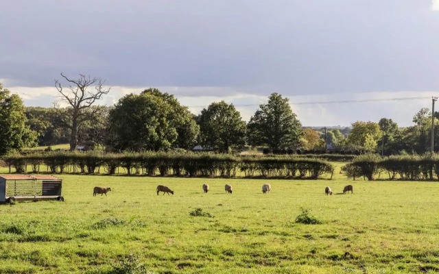 The Milking Parlour