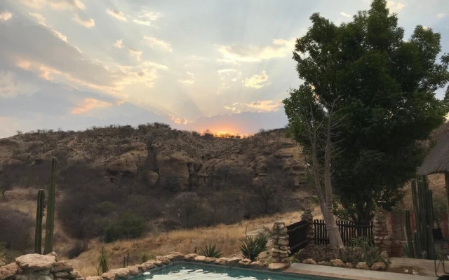 Sasa Safari Camp