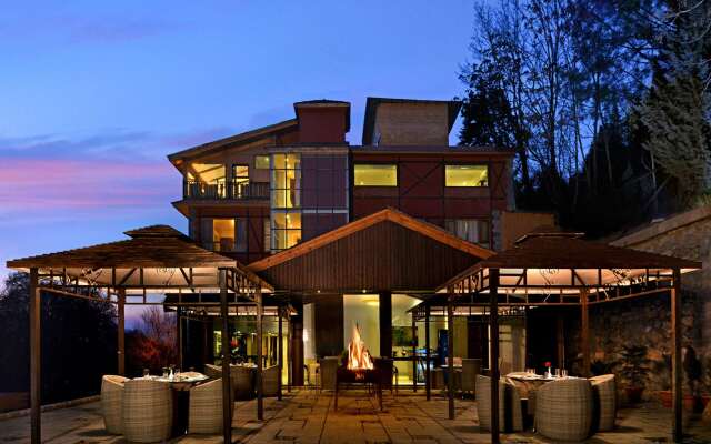 Golden Tulip