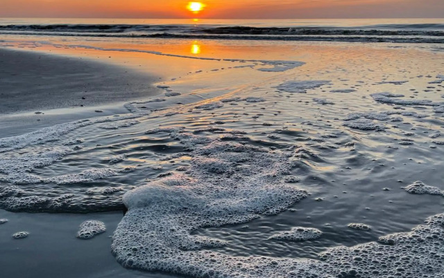 Ferienwohnung „Deichgeflüster“ nahe der Nordsee