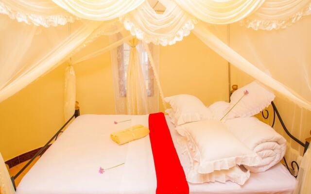 Amazing Accommodation in Arusha Furaha Lodge