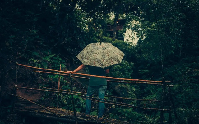 Ela Ecoland Munnar - A Nature Retreat