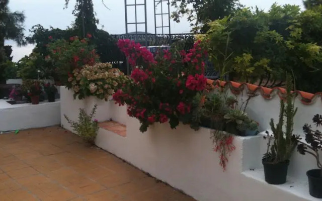 Apartments Hortenzija