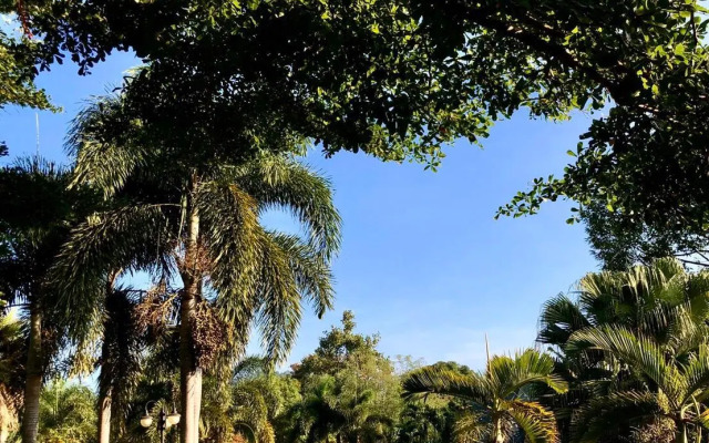 Suannoina Resort