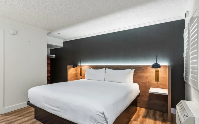 The Catrina Hotel