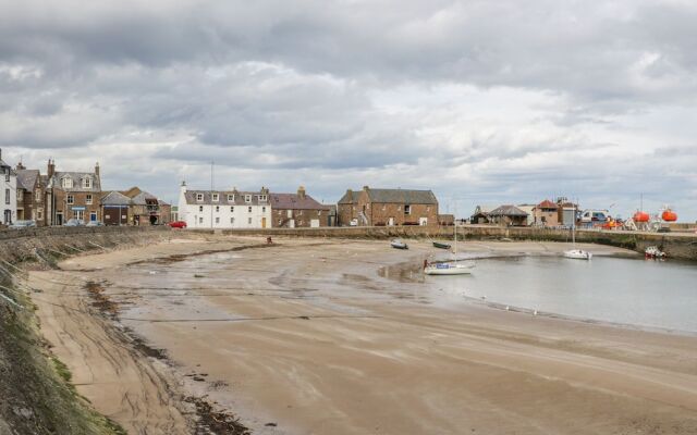 The Haven 12 Shorehead